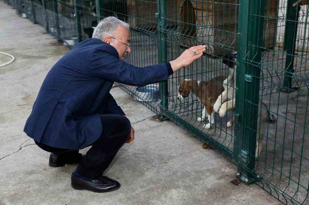 CAN DOSTLAR İÇİN MODERN HASTANE